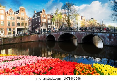 Dutch scenery with canal and with tulips at spring, Amsterdam, Netherlands