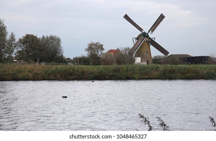Dutch windmill with duck