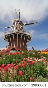 Dutch Windmill In Holland, Michigan