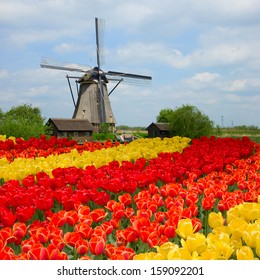 dutch windmill over rows of tulips field , Holland - Powered by Shutterstock