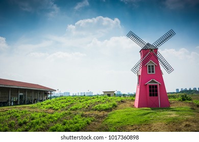 Dutch windmill in San Francisco