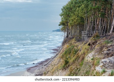 The Dutchman's Cap, In Lithuanian Olando Kepurė, Hill Or Parabolic Dunes With Pine Trees Created By Aeolian Processes On A Moraine Ridge, On The Baltic Sea In Lithuania's Seaside Regional Park