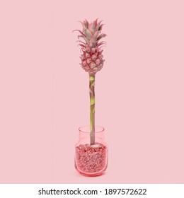 Featured image of post Easiest Way to Make Mini Pink Pineapple Plant