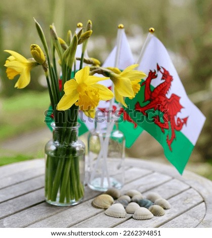 Dydd Gwyl Dewi Sant Hapus St David Day daffodils and welsh flags decorating an outdoor table to celebrate the national day of Wales on March 1st