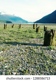 Dyea Tidal Flats Alaska