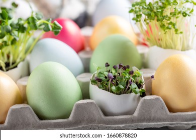 Dyed Multi-colored Eggs And Green Sprouts In Egg Shell  In Cardboard Packaging. Happy Easter. 