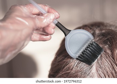 Dyeing Overgrown Gray Roots With Hair Dye At Home. A Hand In A Plastic Glove Holds A Brush For Dyeing Hair