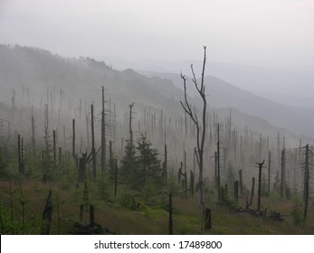 Lluvia Acida Images Stock Photos Vectors Shutterstock