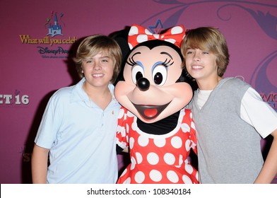 Dylan Sprouse And Cole Sprouse  At The Sweet 16 Celebration For Miley Cyrus. Disenyland, Anaheim, CA. 10-05-08