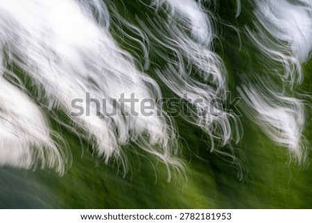 Dynamic abstract background featuring ethereal white light trails dancing across a lush green backdrop. Intentional camera movement creates a sense of fluid energy and natural dissemination.