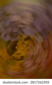 A dynamic abstract image captures the blurred motion of purple and yellow flower petals creating a vortex effect