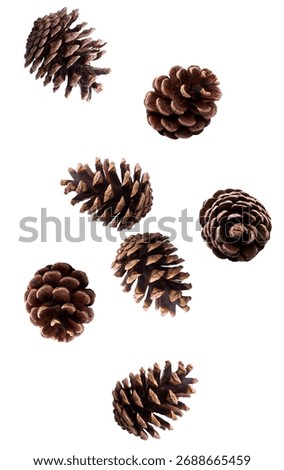 Dynamic arrangement of multiple brown pine cones scattered and floating mid-air, isolated on a white background studio photograph.