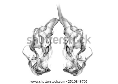 Dynamic black smoke forming the shape of human lungs, set against a white background. Harmful effects of smoking on the lungs.