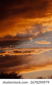 Dynamic cloudscape with dramatic sky and textures.