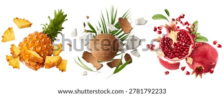 Dynamic composition collection of flying fresh pineapple, coconut and pomegranate. Levitating fruits, pieces, and leaves isolated on a white background.
