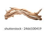 A dynamic driftwood piece with intricate twists and a smooth texture isolated