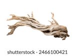 A dynamic driftwood piece with intricate twists and a smooth texture isolated