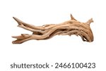 A dynamic driftwood piece with intricate twists and a smooth texture isolated