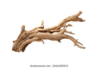 A dynamic driftwood piece with intricate twists and a smooth texture isolated - Powered by Shutterstock