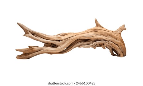 A dynamic driftwood piece with intricate twists and a smooth texture isolated - Powered by Shutterstock