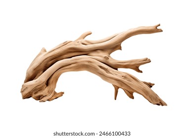 A dynamic driftwood piece with intricate twists and a smooth texture isolated - Powered by Shutterstock