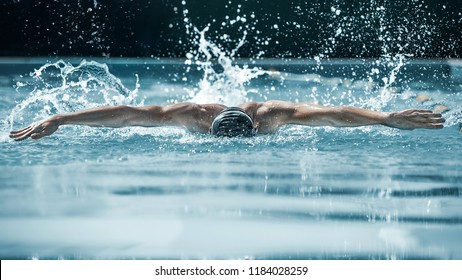 The dynamic and fit swimmer in cap swimming by butterfly style in the pool. The young man. Sport, healthy lifestyle, competition, training, athlete, energy concept