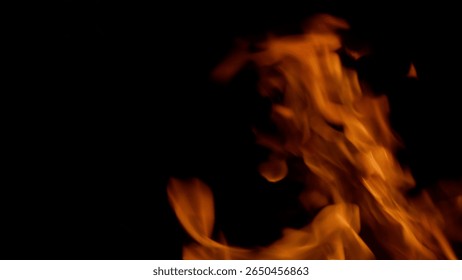 Dynamic Flames Dancing Gracefully in the Darkness of the Night, Captivating Beauty and Light