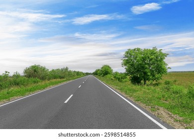 A dynamic image of an open highway surrounded by greenery, with a motion blur effect on the sides, leading into the horizon under a bright blue sky with wispy clouds.