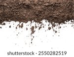 A dynamic image of wet soil and mud splattering against a clean white background, highlighting the raw texture and earthy tones.