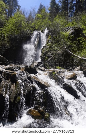 A dynamic low-angle shot of a mountain waterfall surrounded by a lush green forest. The white water splashes over dark stones and mossy cliffs under a bright blue sky, capturing the raw energy and serene beauty of a natural woodland ecosystem during the summer.