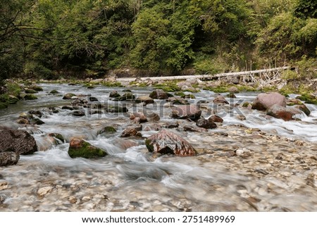 A dynamic, low-angle shot of a rushing mountain river with silky water achieved through long exposure, flowing over smooth river stones and boulders with a lush green forest in the background. Stock photo