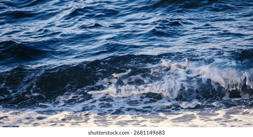 Dynamic ocean waves captured in motion.