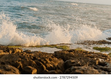 Dynamic ocean waves splashing dramatically onto rocky tropical shoreline during golden hour. Warm sunlight reflecting on sea foam and coastal rocks.