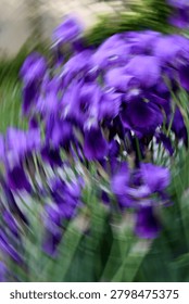 Dynamic Purple Iris Flowers with Creative Motion Blur Zoom Effect
Artistic close-up of vibrant purple iris flowers captured with intentional motion blur and zoom burst effect. The swirling dynamic movement creates a powerful, energetic and dreamy feel while keeping the beautiful purple petals and green leaves recognizable. Perfect for modern, abstract, and creative floral themes.