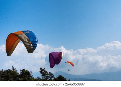 Dynamic scene featuring three colorful paragliders soaring above lush green trees and mountains under a bright, clear blue sky. Beauty of aerial sports and stunning landscapes.