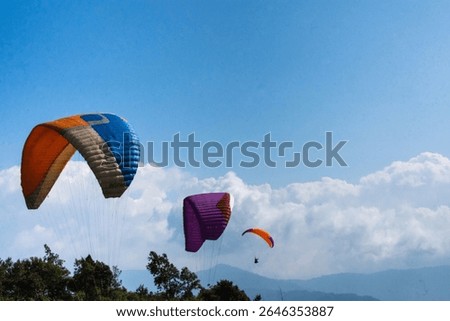 Dynamic scene featuring three colorful paragliders soaring above lush green trees and mountains under a bright, clear blue sky. Beauty of aerial sports and stunning landscapes.