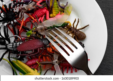 Dystopian future where humans need to supplement the protein intake by eating insects concept with close up on plate of mixed bugs on dark background - Shutterstock ID 1630189903