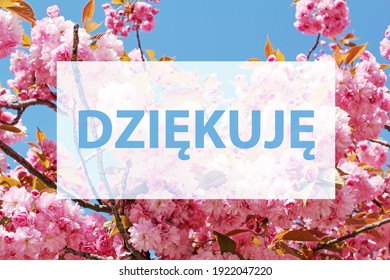 Dziekuje Thank You Written Polish 260nw 1922047220 