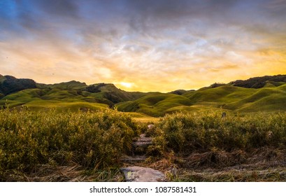 Dzukou Valley, Nagaland