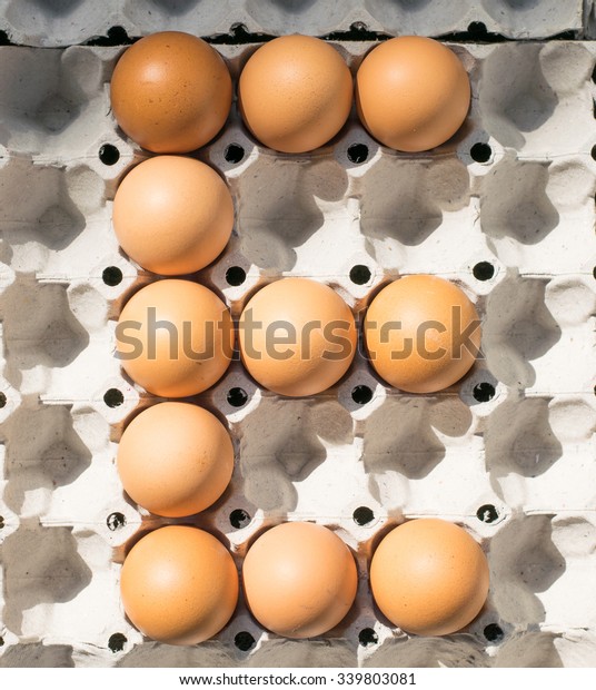 E Eggs Alphabet Stock Photo (Edit Now) 339803081