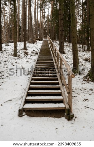 Each step a story: the wooden stairs wind through Tervetes' snowy forest, inviting an uphill journey into nature's embrace.