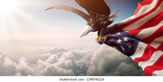 Eagle With American Flag Flies In Freedom
				
