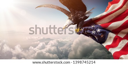 Eagle With American Flag Flies In Freedom
