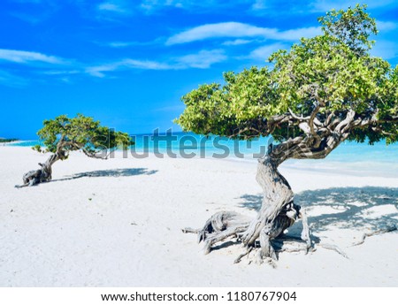 Eagle Beach, Aruba