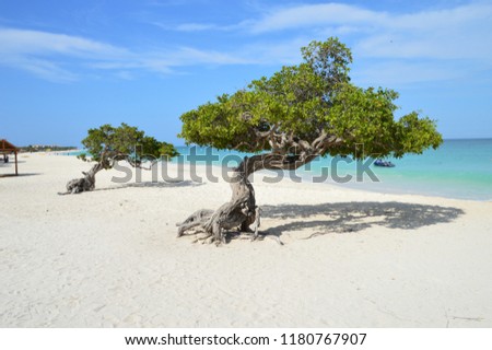 Eagle Beach, Aruba
