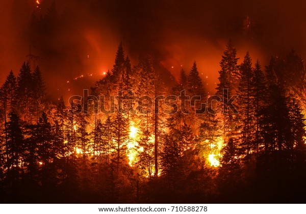 コロンビア川峡谷のイーグルクリーク山火事か の写真素材 今すぐ編集