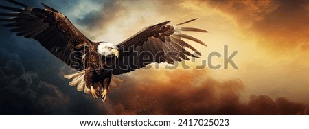An eagle with extended wings perched on the ground in front of a backdrop of dark and stormy clouds