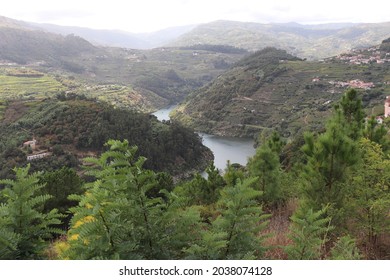 Eagle Eye View Of The Douro River, Through The Trees. Unedited. 