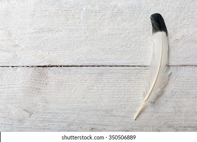 Eagle feather lying on a white painted piece of wood with copy space