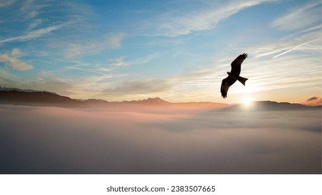 an eagle flying above the blue clouds in the afternoon - Powered by Shutterstock